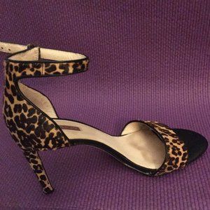 Leopard Heels 3 inch. Louise and Cig